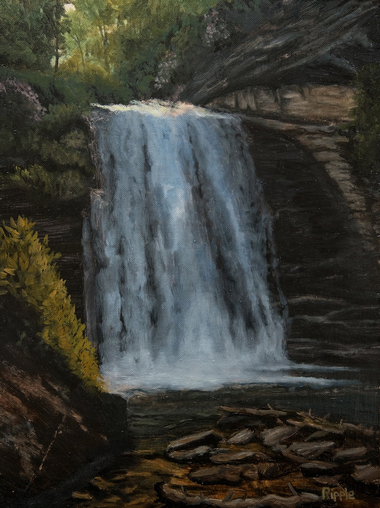 "MORNING AT LOOKING GLASS FALLS" Original Framed Oil Painting