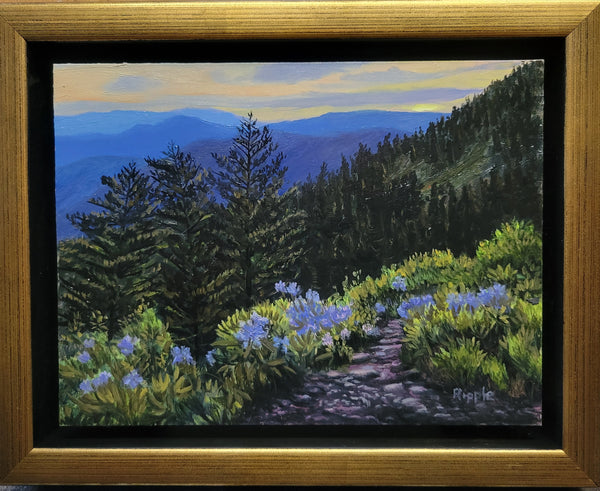 Cloudy Sunset with Catawbas, Blue Ridge Mountains, June 12" Original Framed Oil Painting
