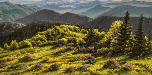 "SPRING LIGHT AND RHODODENDRONS FROM COWEE MOUNTAINS OVERLOOK Original Framed Oil Painting