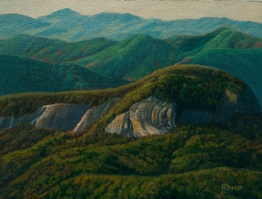 "AUTUMN MORNING, LOOKING GLASS ROCK" Original Framed Oil on Linen Panel