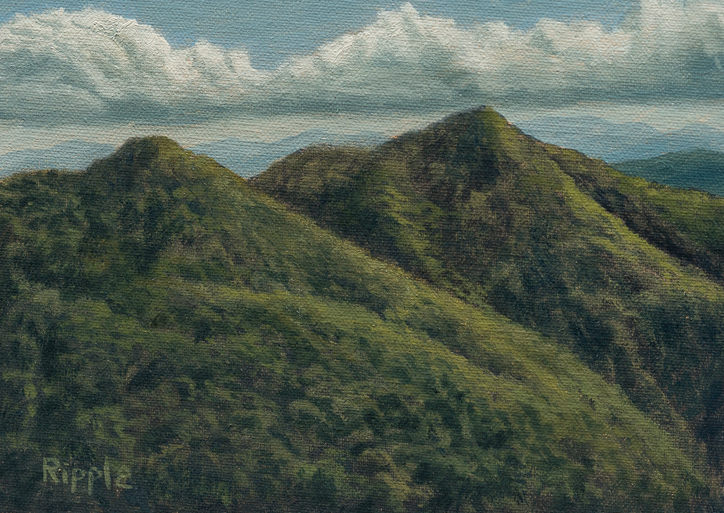 "AFTERNOON VIEW FROM DOUBLETOP MOUNTAIN, JUNE 13 FIELD STUDY"  Original Framed Oil Painting