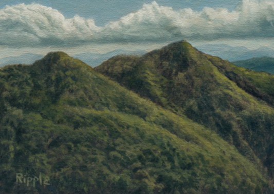 "AFTERNOON VIEW FROM DOUBLETOP MOUNTAIN, JUNE 13 FIELD STUDY"  Original Framed Oil Painting