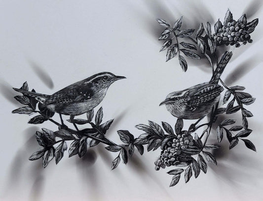 "CAROLINA WRENS" Original Fumage Drawing on Clay Board/Framed