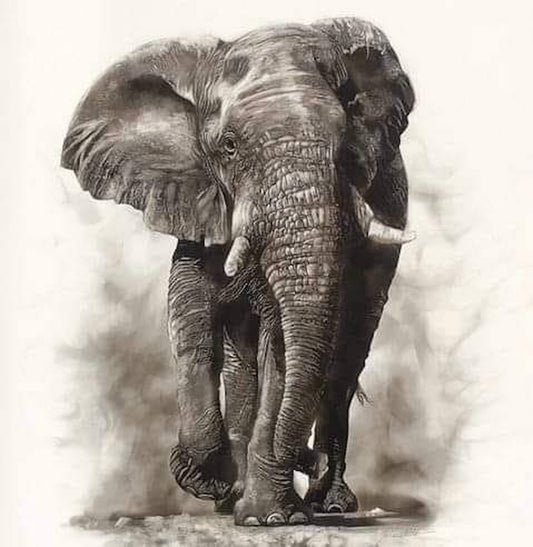 "THE BUSH ELEPHANT" FINE ART LIMITED EDITION PRINT