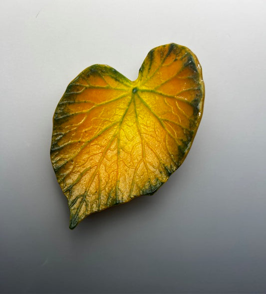BEGONIA GLASS LEAF SCULPTURE - MINI DW31