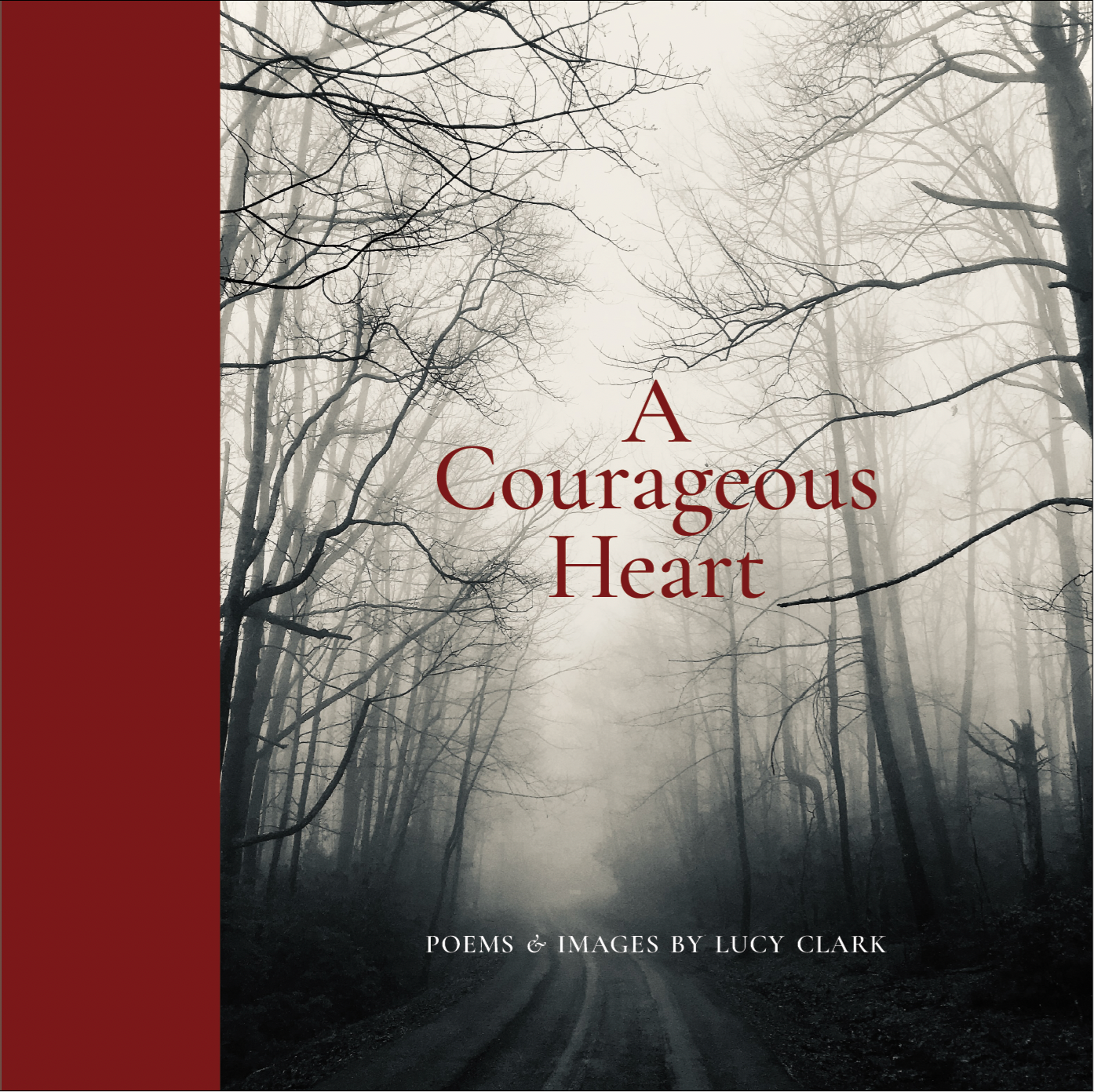 "A COURAGEOUS HEART" Book