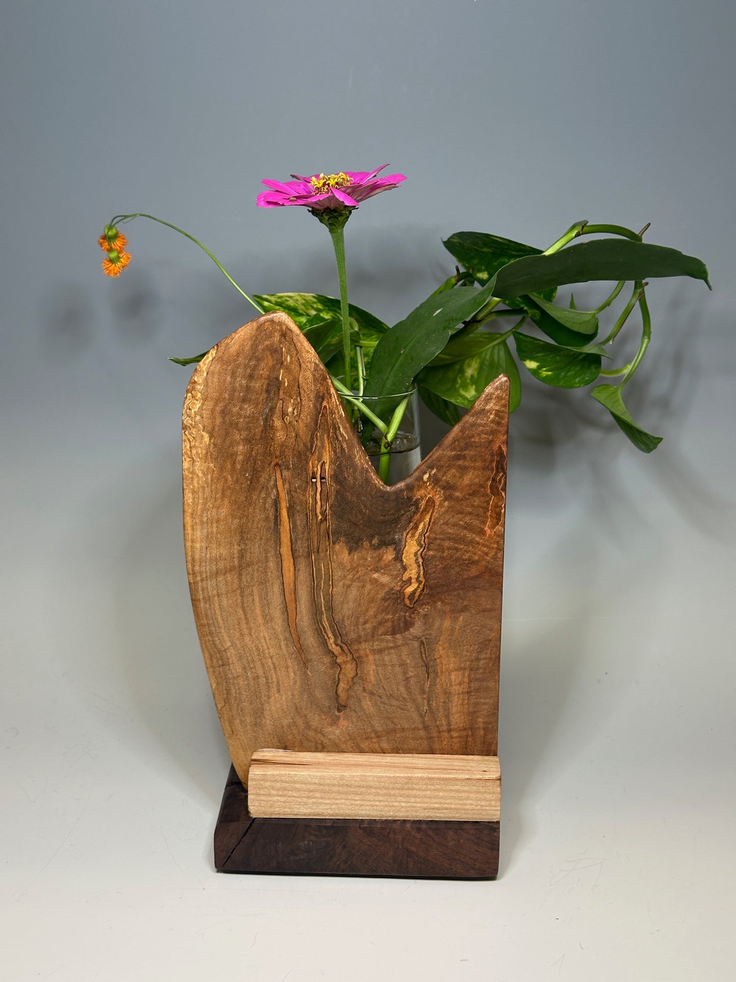 MAPLE SINGLE VASE ROOTER