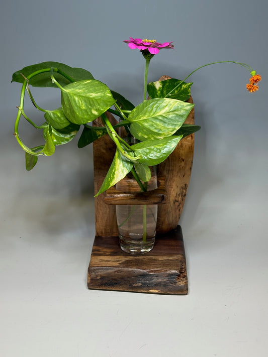 MAPLE SINGLE VASE ROOTER