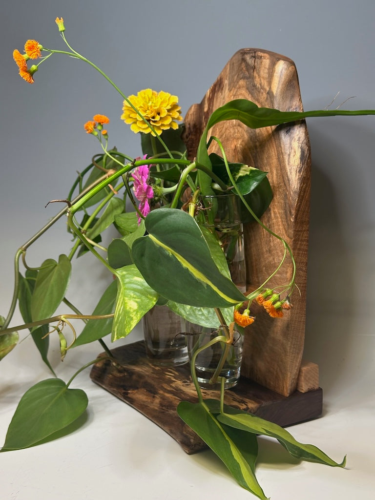 MAPLE DOUBLE VASE ROOTER