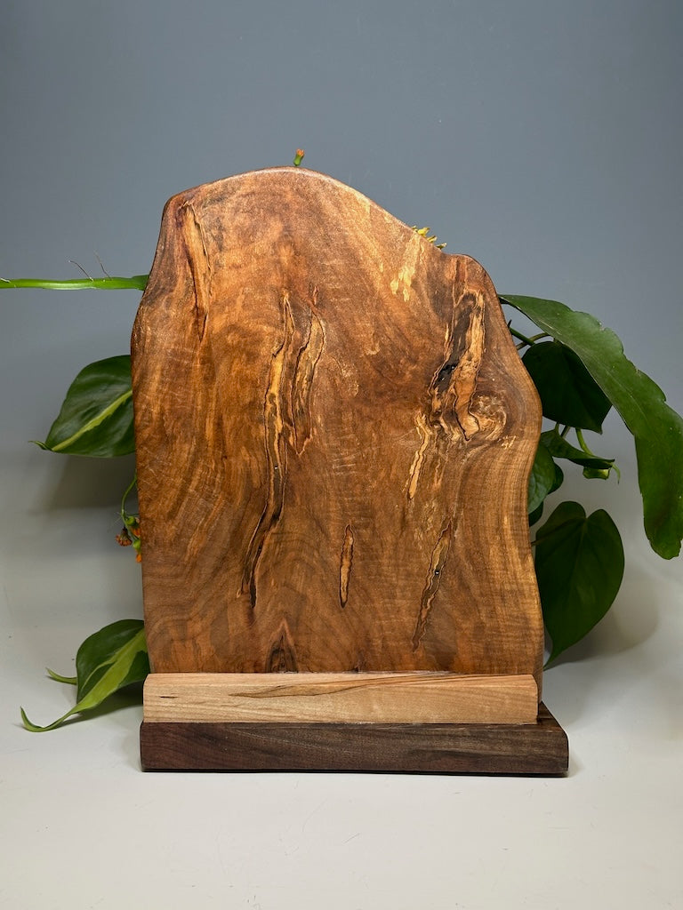 MAPLE DOUBLE VASE ROOTER