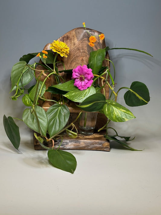 MAPLE DOUBLE VASE ROOTER