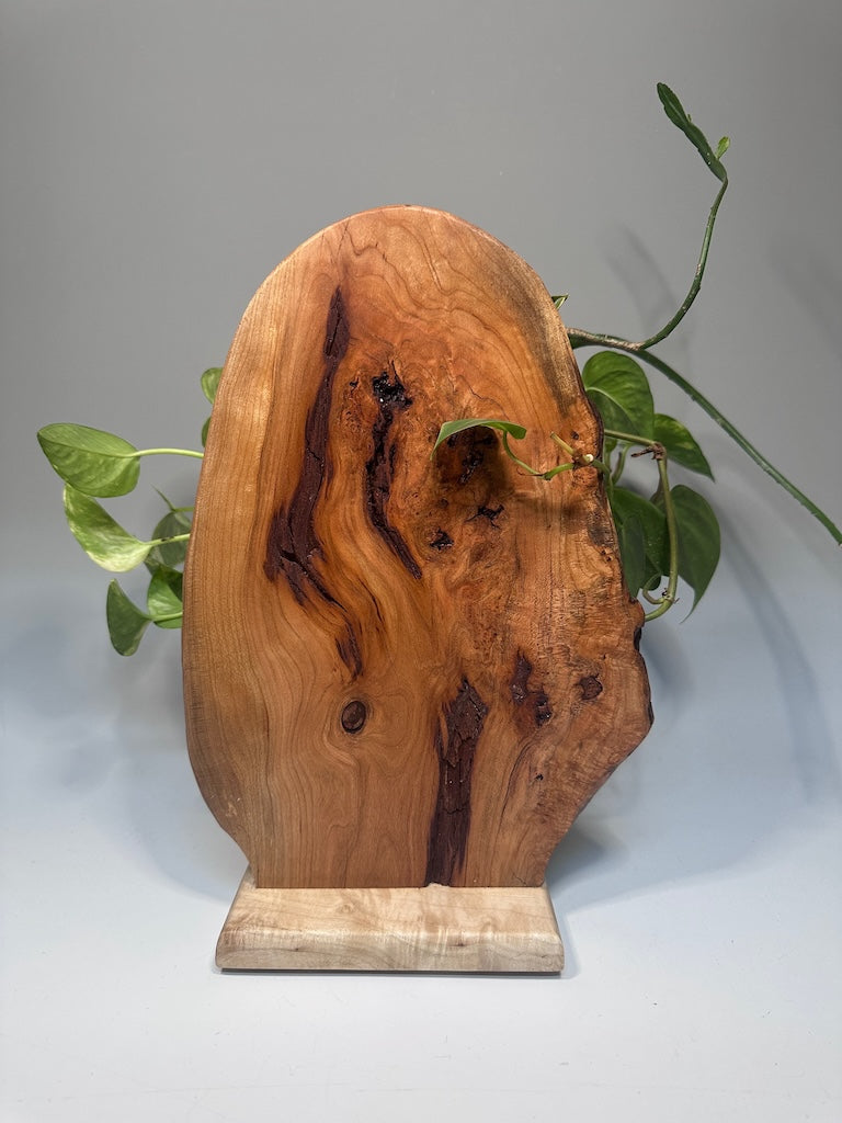 CERRY BURL, CHESTNUT AND MAPLE DOUBLE VASE ROOTER