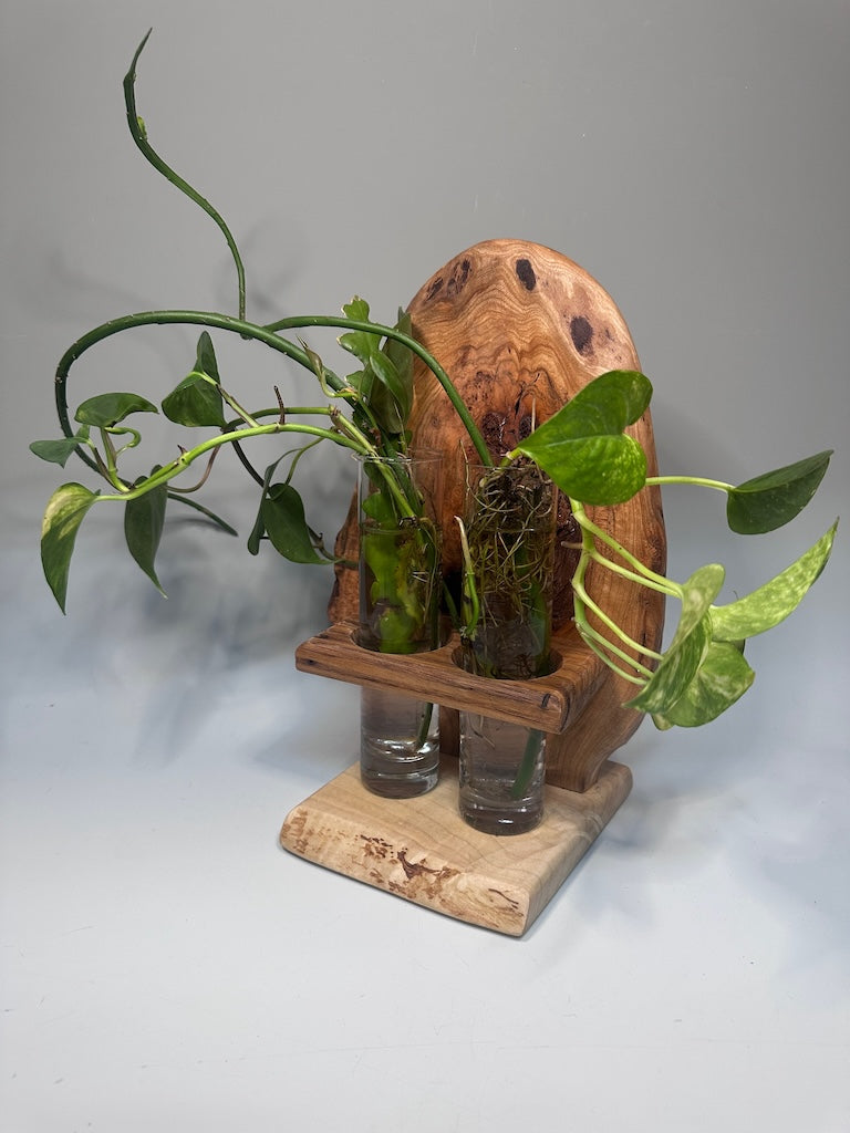 CERRY BURL, CHESTNUT AND MAPLE DOUBLE VASE ROOTER