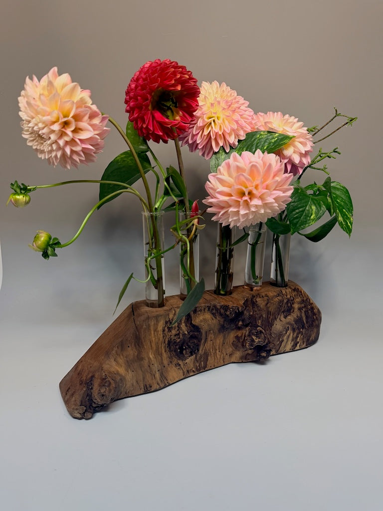 MAPLE BURL 5 TUBE ROOTER