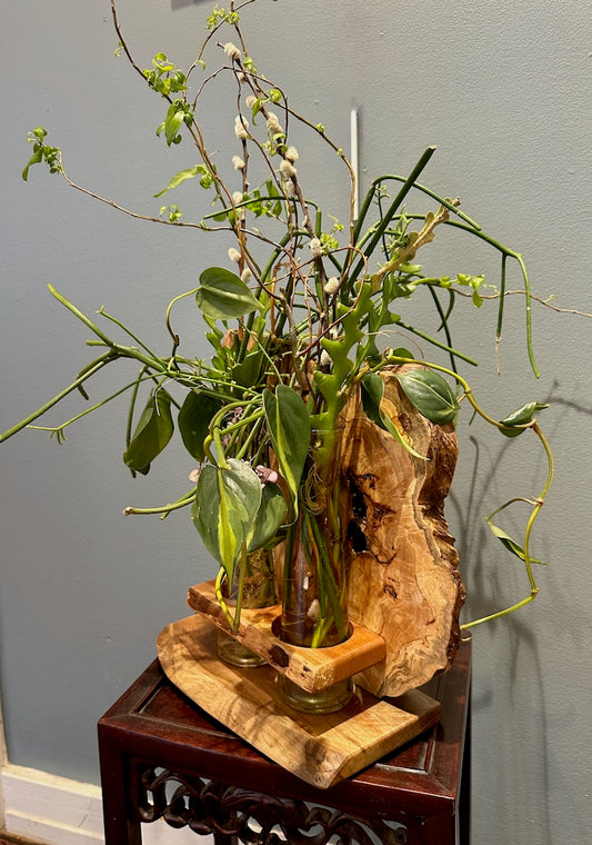 MAPLE BURL AND WALNUT ROOTER