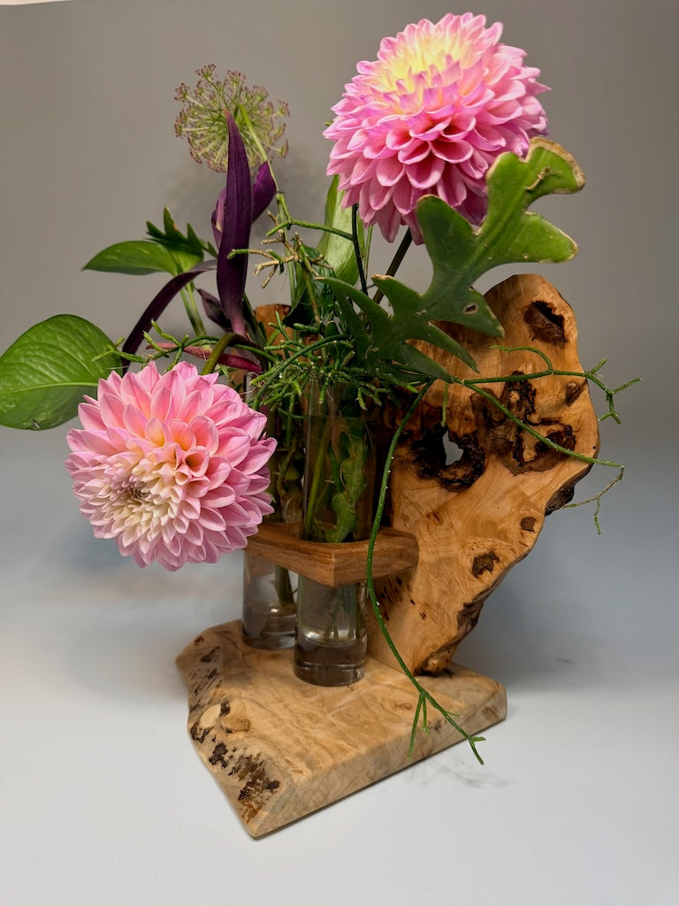 WALNUT BURL ON AMBROSIA MAPLE BASE AND CHESTNUT SHELF DOUBLE TUBE ROOTER