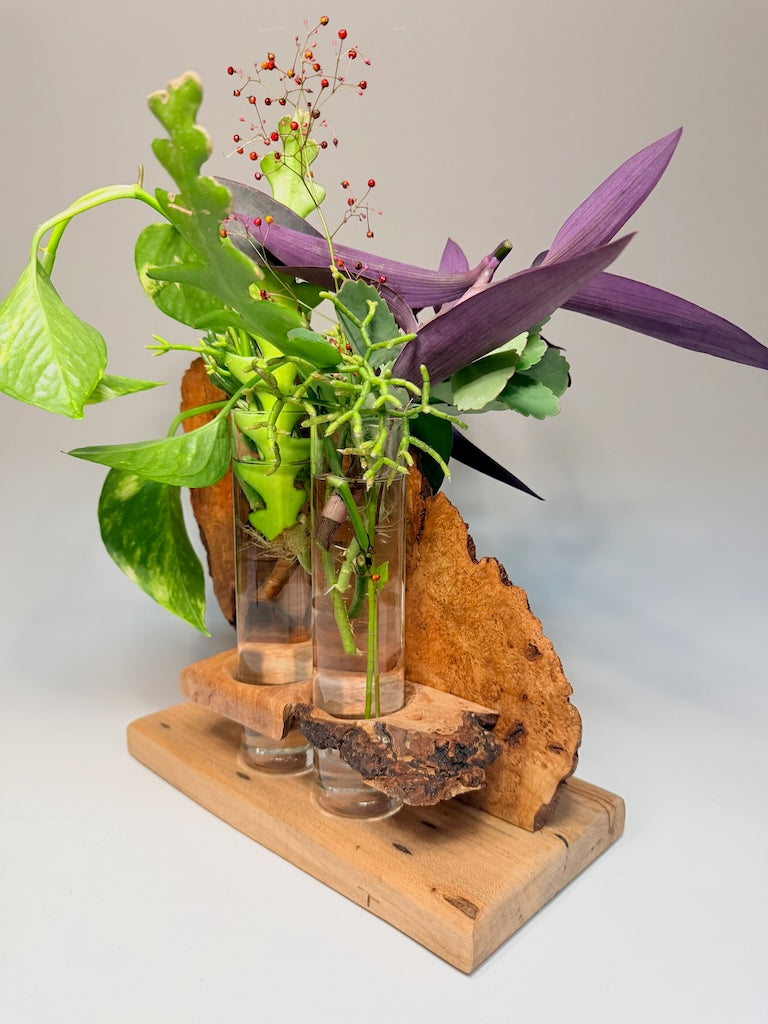 WALNUT BURL AND MAPLE 2 VASE ROOTER