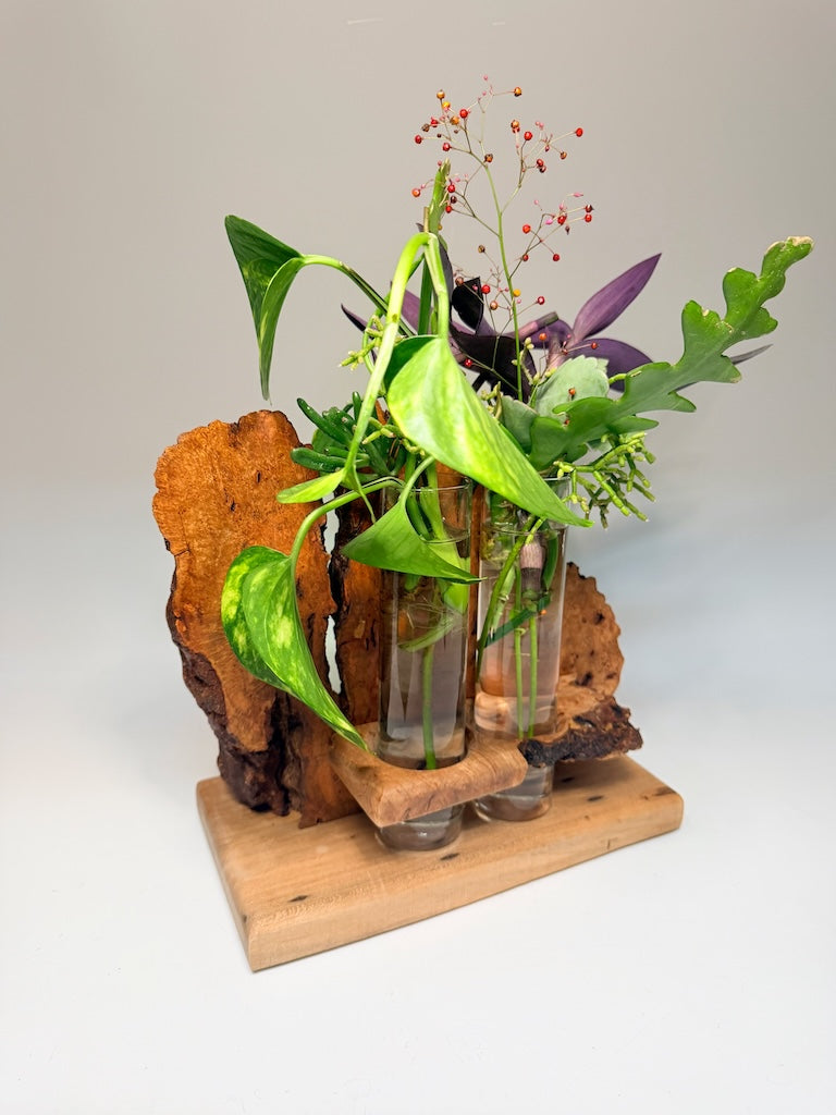 WALNUT BURL AND MAPLE 2 VASE ROOTER