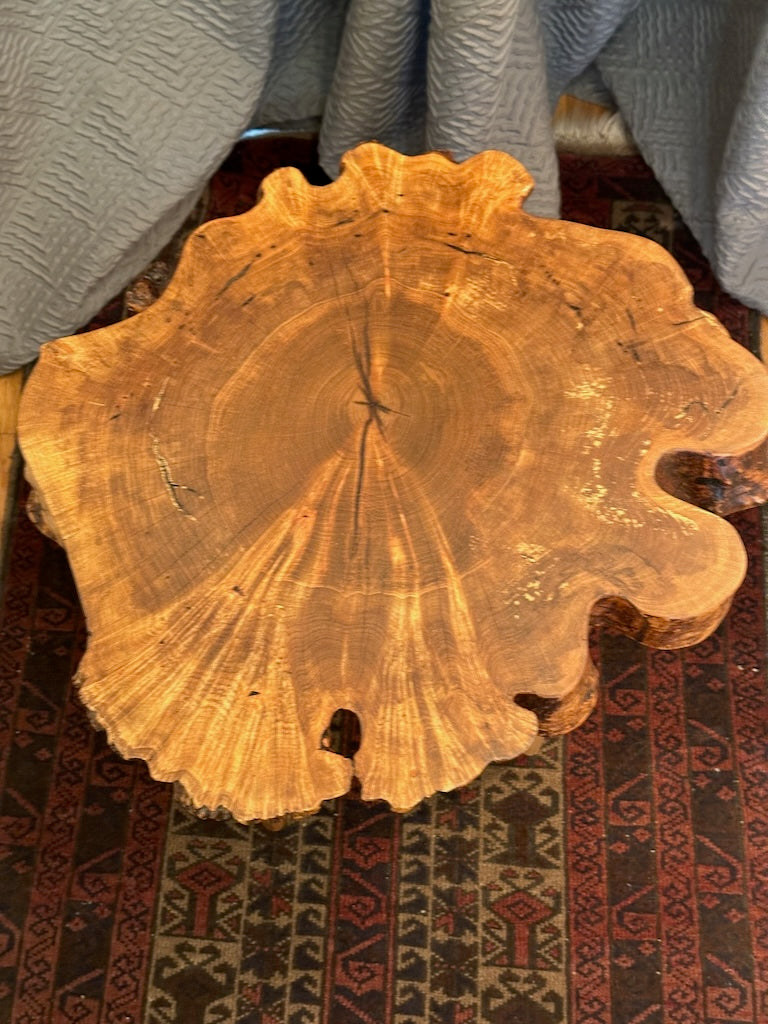 WALNUT COOKIE TABLE WITH AMBROSIA MAPLE LEGS
