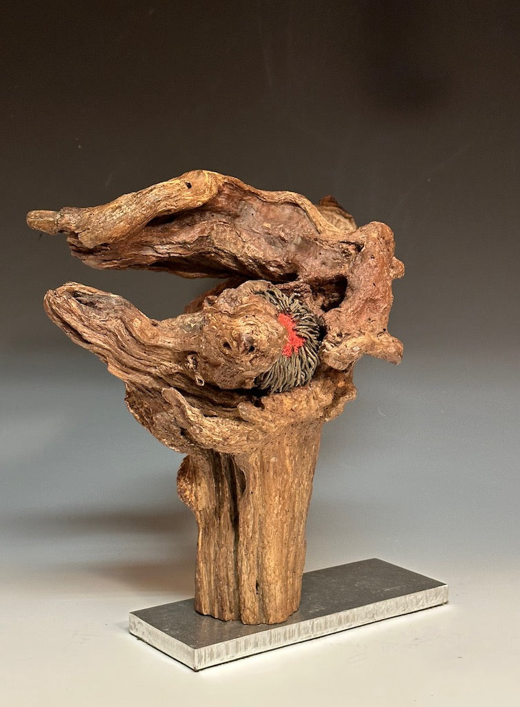 "EYE OF THE STORM" 3D  Found Wood Sculpture