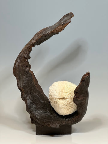 "HARBORING THE MOON" 3D  Found Wood Sculpture
