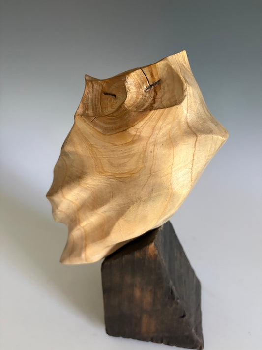 "MORNING DELIGHT IV" HAND CARVED LEYLAND CYPRESS SCULPTURE