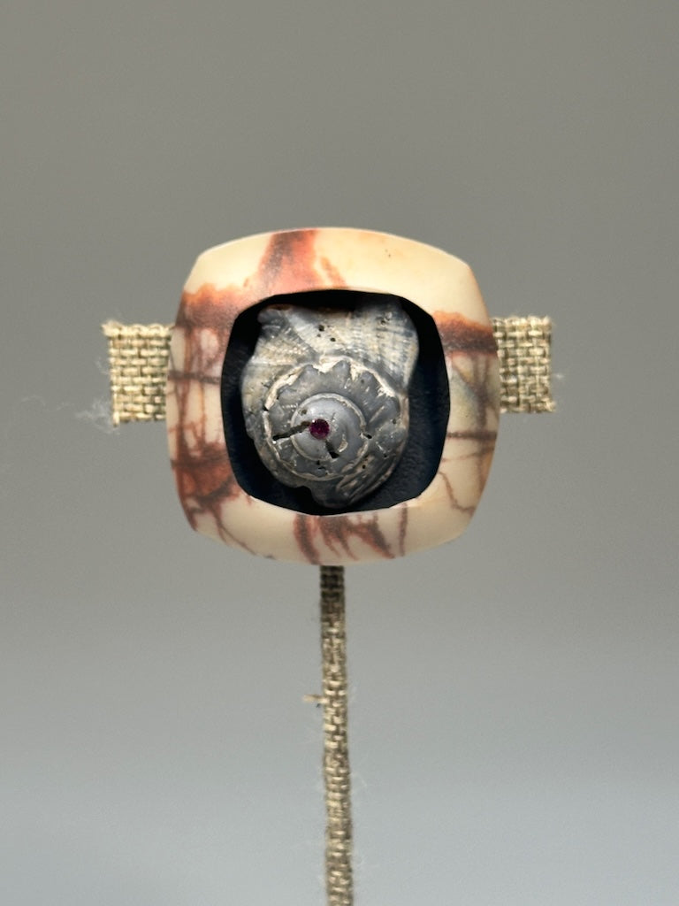 NATURAL SHELL SHADOW BOX POLYMER CLAY MAGNETIC BROACH WITH SWAROVSKI CRYSTAL PCB836