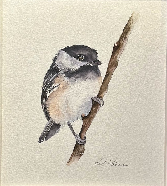 "BLACK CAPPED CHICKADEE 1" ORIGINAL WATERCOLOR/FRAMED