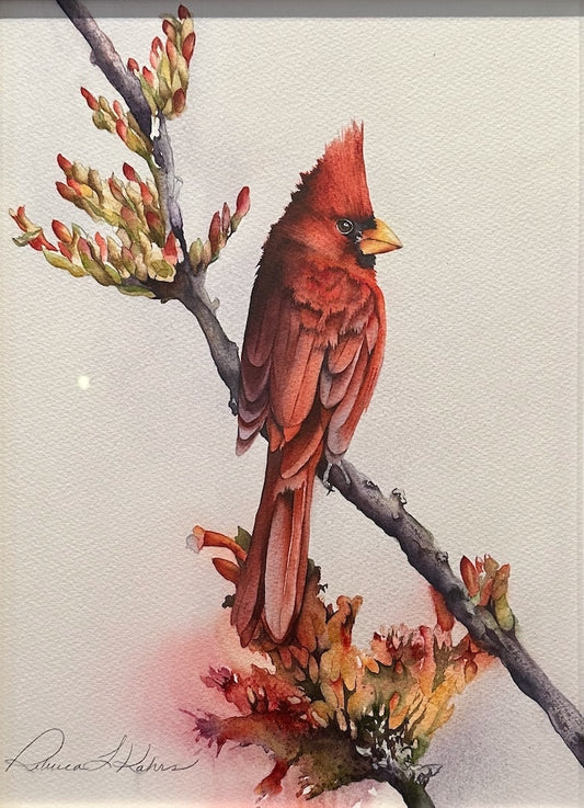 "EARLY SPRING CARDINAL" ORIGINAL WATERCOLOR/FRAMED