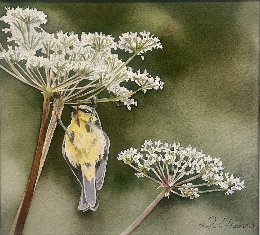 "FINCH IN QUEEN ANNE'S LACE" ORIGINAL WATERCOLOR/FRAMED