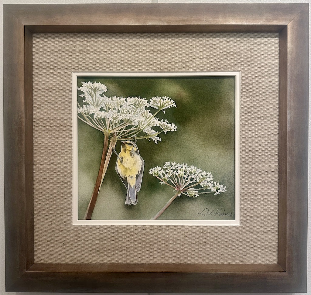 "FINCH IN QUEEN ANNE'S LACE" ORIGINAL WATERCOLOR/FRAMED