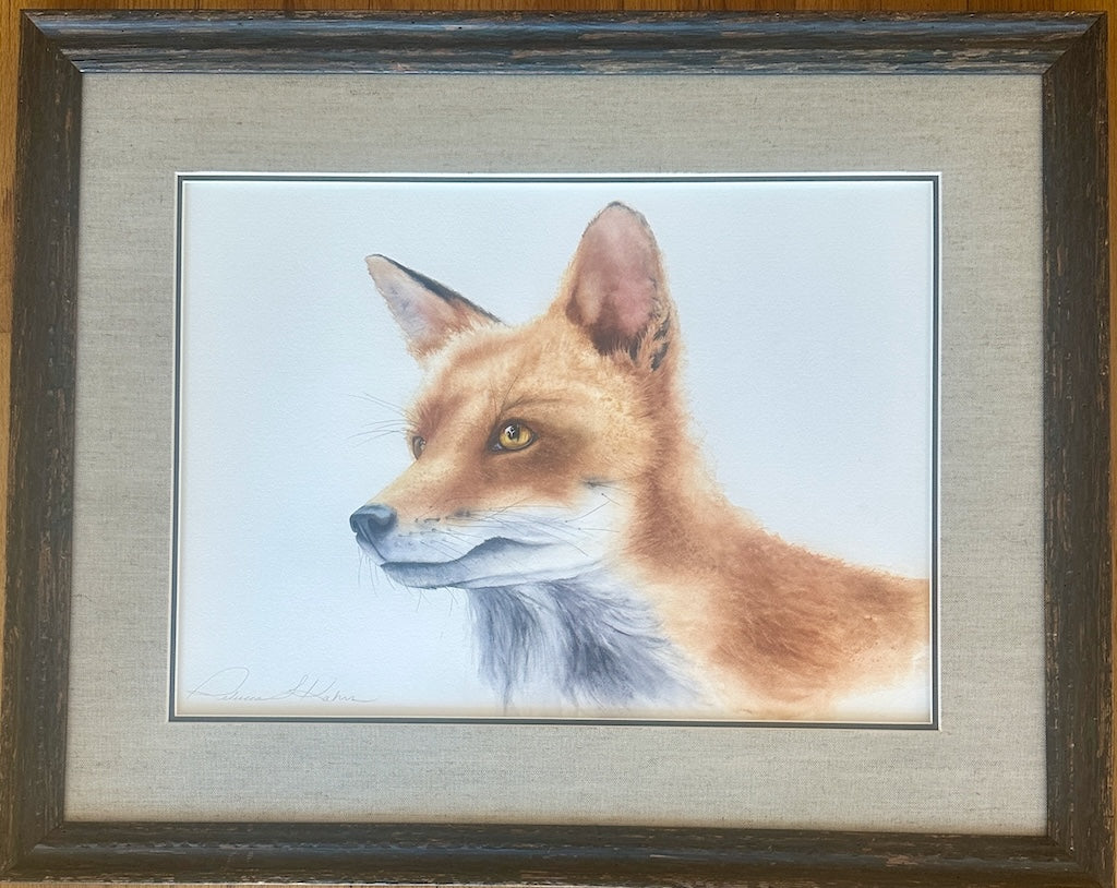 "FOX STUDY 1" ORIGINAL WATERCOLOR/FRAMED