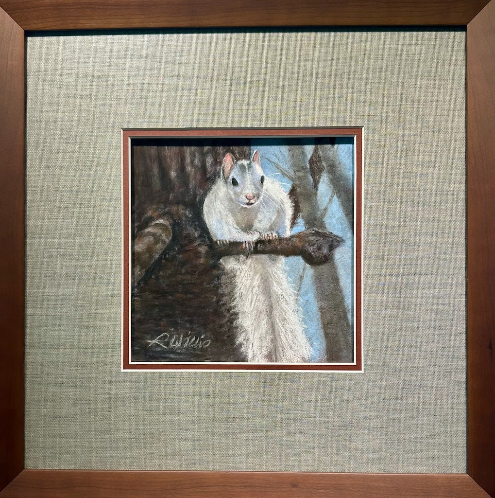 "WHITE SQUIRREL" ORIGINAL PASTEL/FRAMED