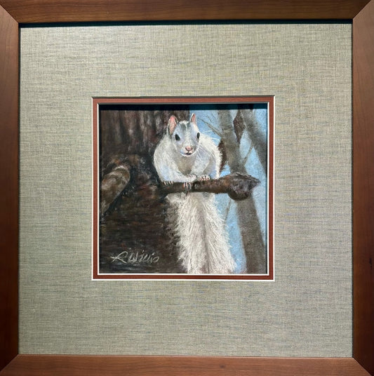 "WHITE SQUIRREL" ORIGINAL PASTEL/FRAMED