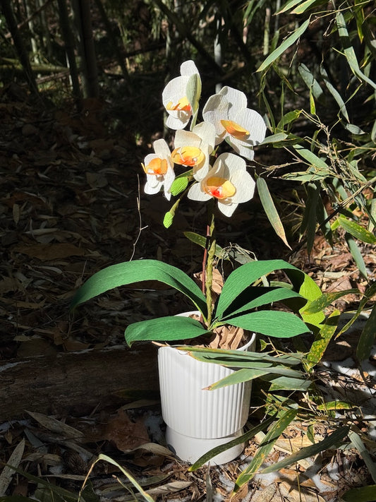 CREPE PAPER ORCHID BUILDING WORKSHOP