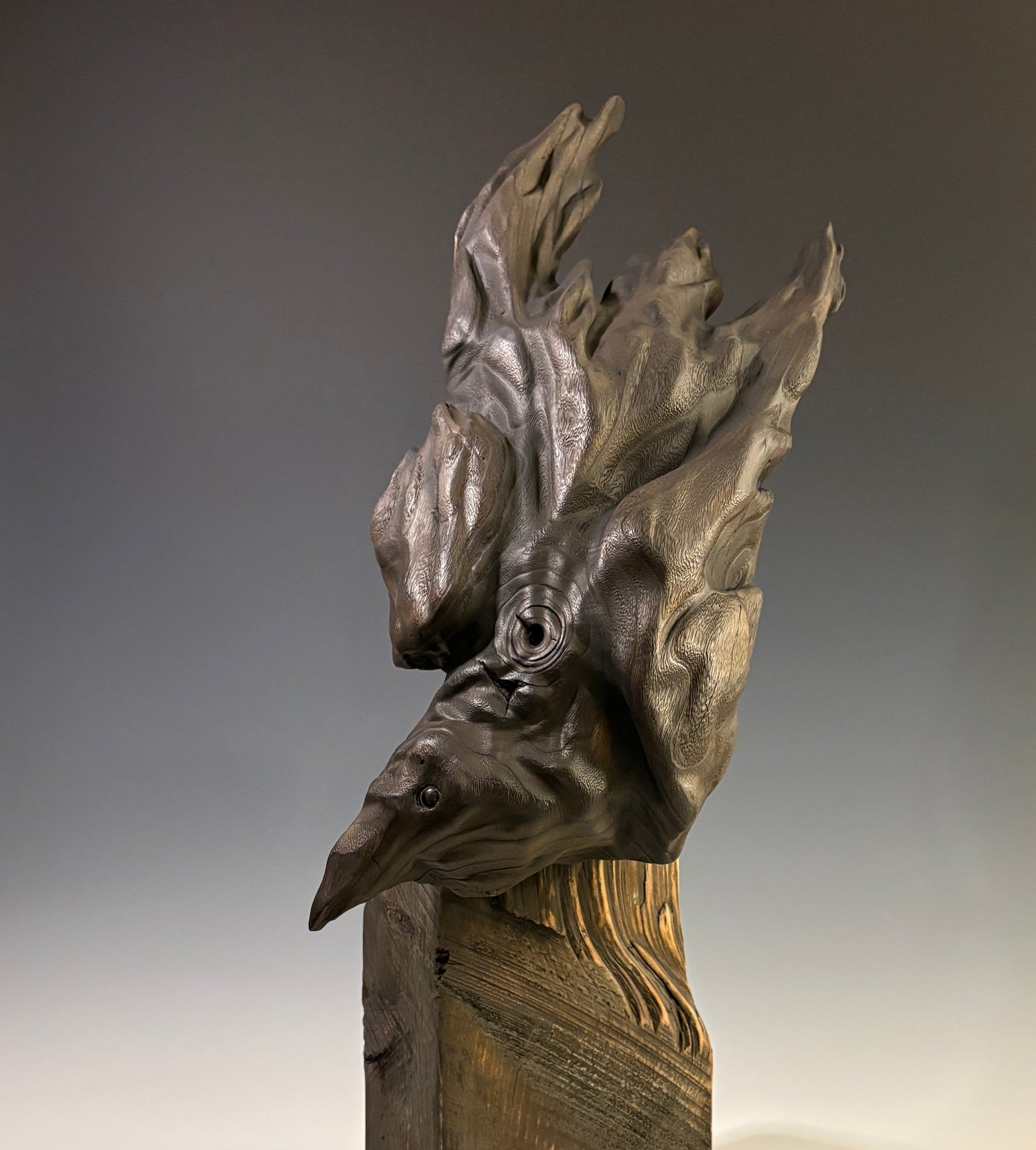 "RAVEN'S BREATH" HAND CARVED PAULOWNIA SCULPTURE