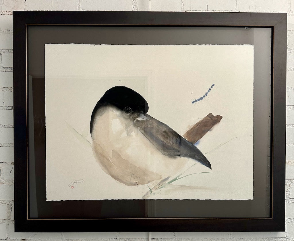 "BLACK CAPPED CHICKADEE 2.24 Original Watercolor/Framed