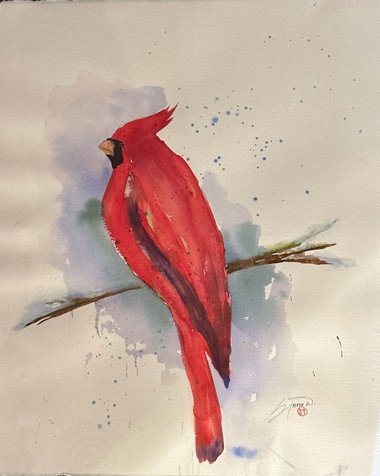 "BOLD CARDINAL " Original Watercolor/Framed