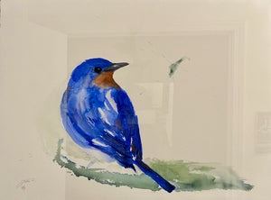 "EASTERN BLUE BIRD WITH GREEN SPLATTER" Original Watercolor/Framed