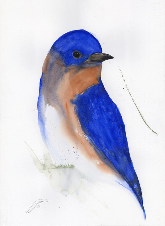 "EASTERN BLUE BIRD I" Original Watercolor/Framed