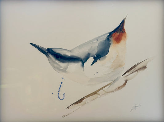 "NUTHATCH 11.25" ORIGINAL WATERCOLOR/FRAMED