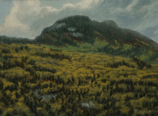 "SPRING FLUSH, GRANDFATHER MOUNTAIN, JUNE 6 FIELD STUDY" Original Framed Oil Painting