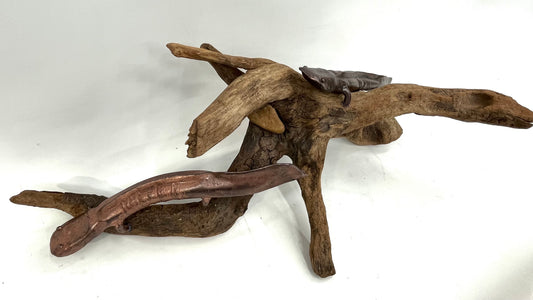 "COPPER HELLBENDER - DOUBLE" HAND FORGED METAL SCULPTURE