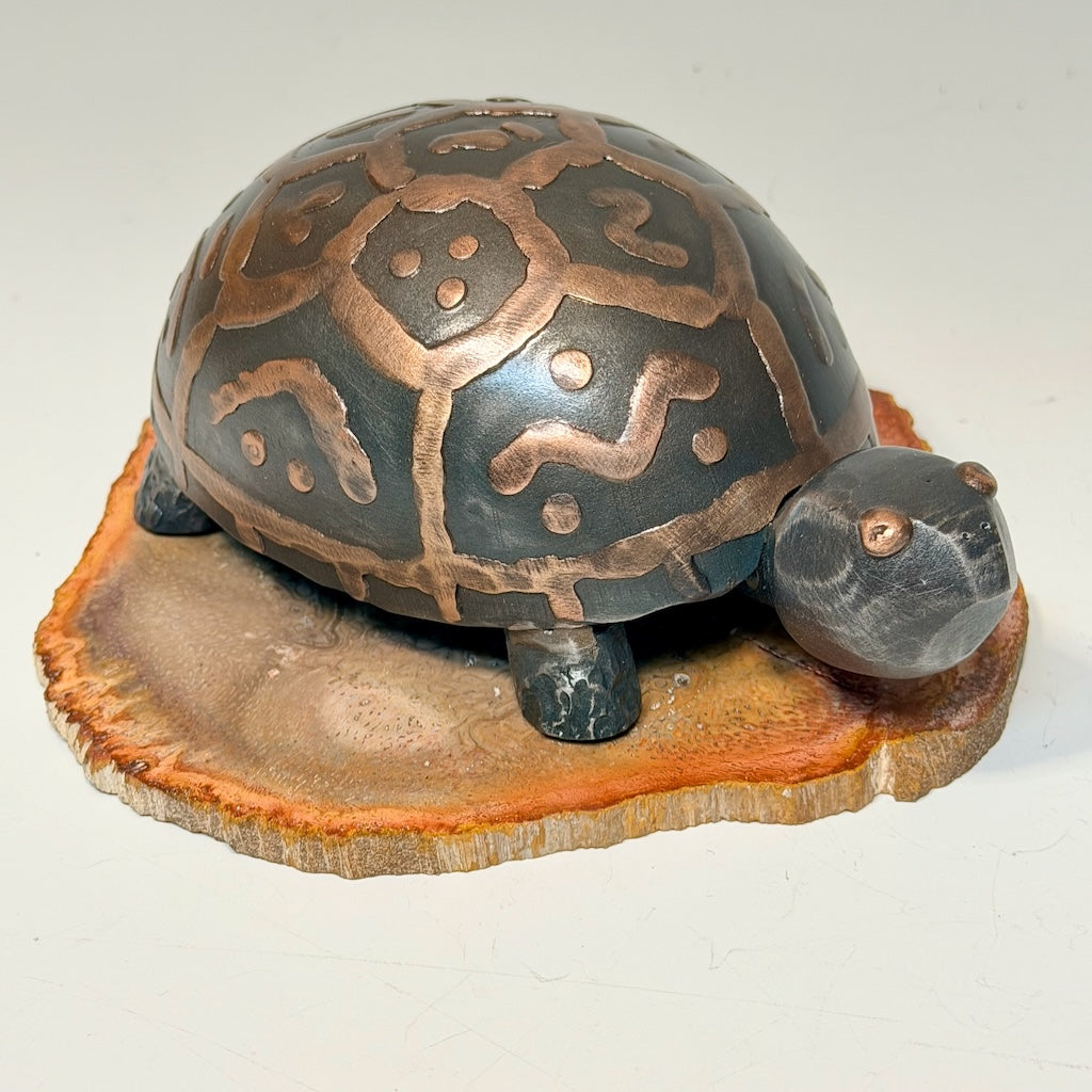 HAND FORGED TURTLE 1