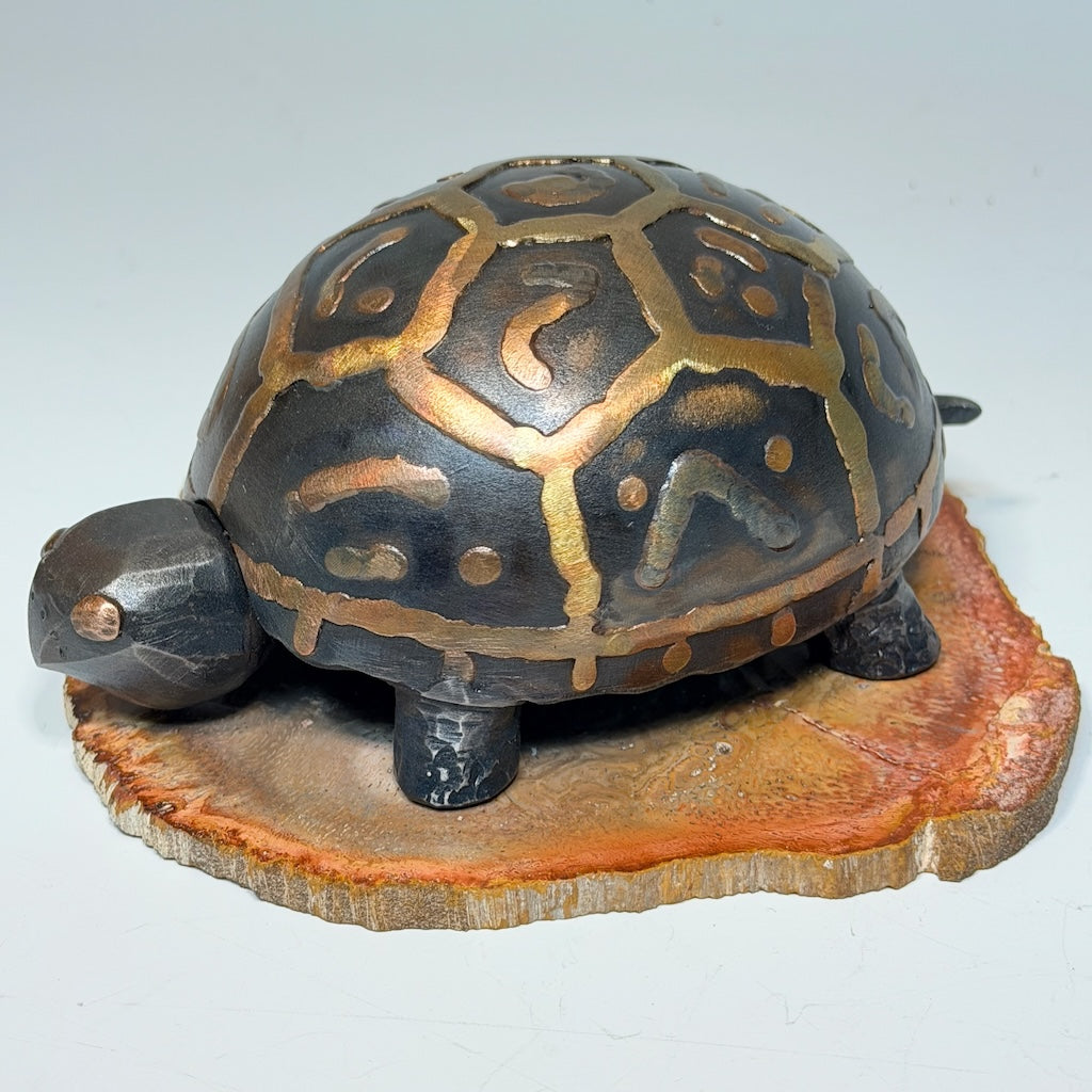 HAND FORGED TURTLE 3