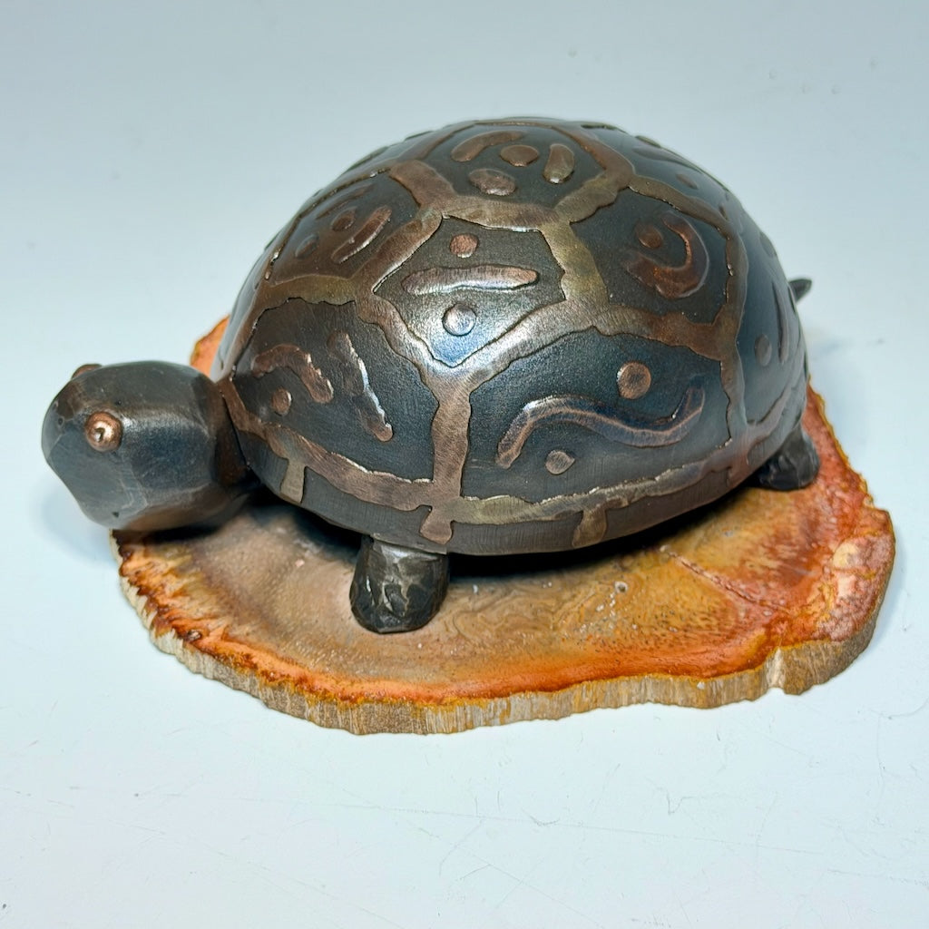 HAND FORGED TURTLE 4