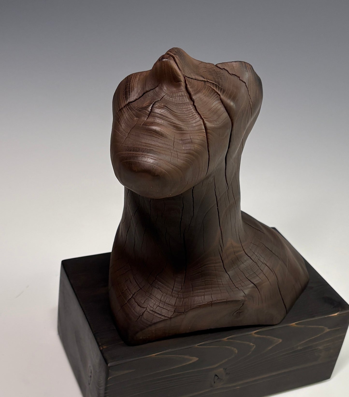 "THE STARGAZER" HAND CARVED WILD CHERRY SCULPTURE