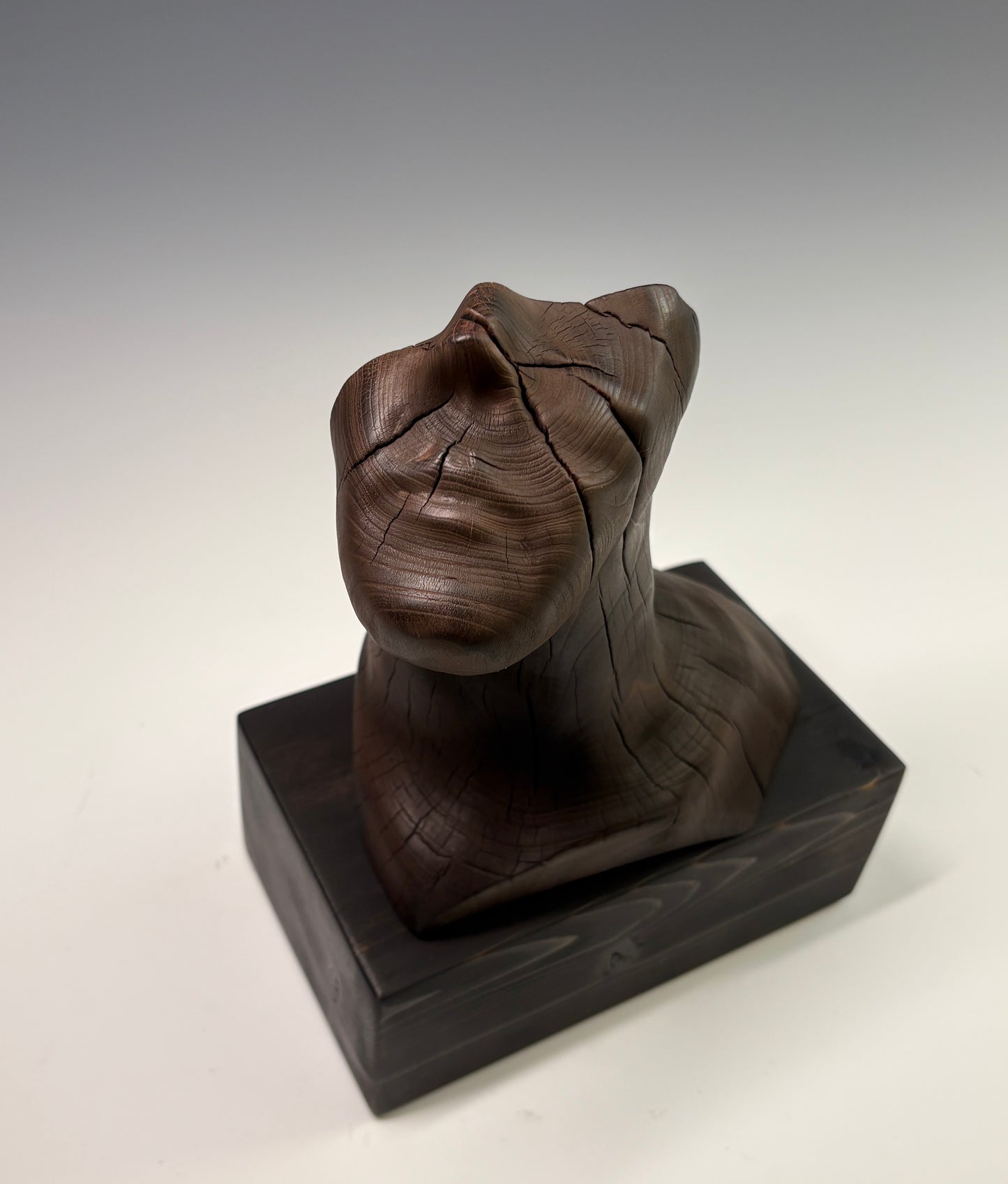 "THE STARGAZER" HAND CARVED WILD CHERRY SCULPTURE