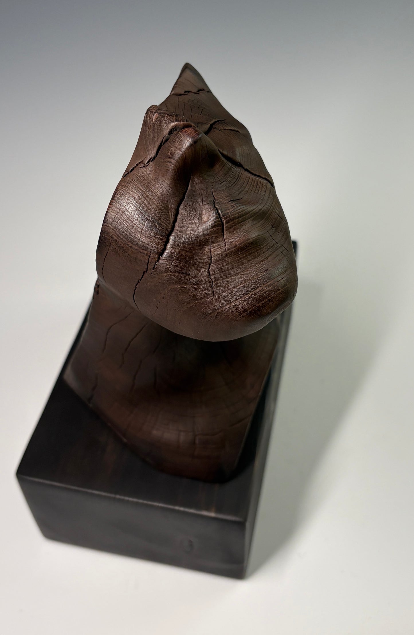 "THE STARGAZER" HAND CARVED WILD CHERRY SCULPTURE