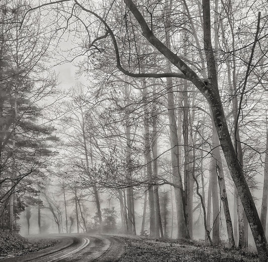 "WELCOME TO MY FANTASY" Framed Photography